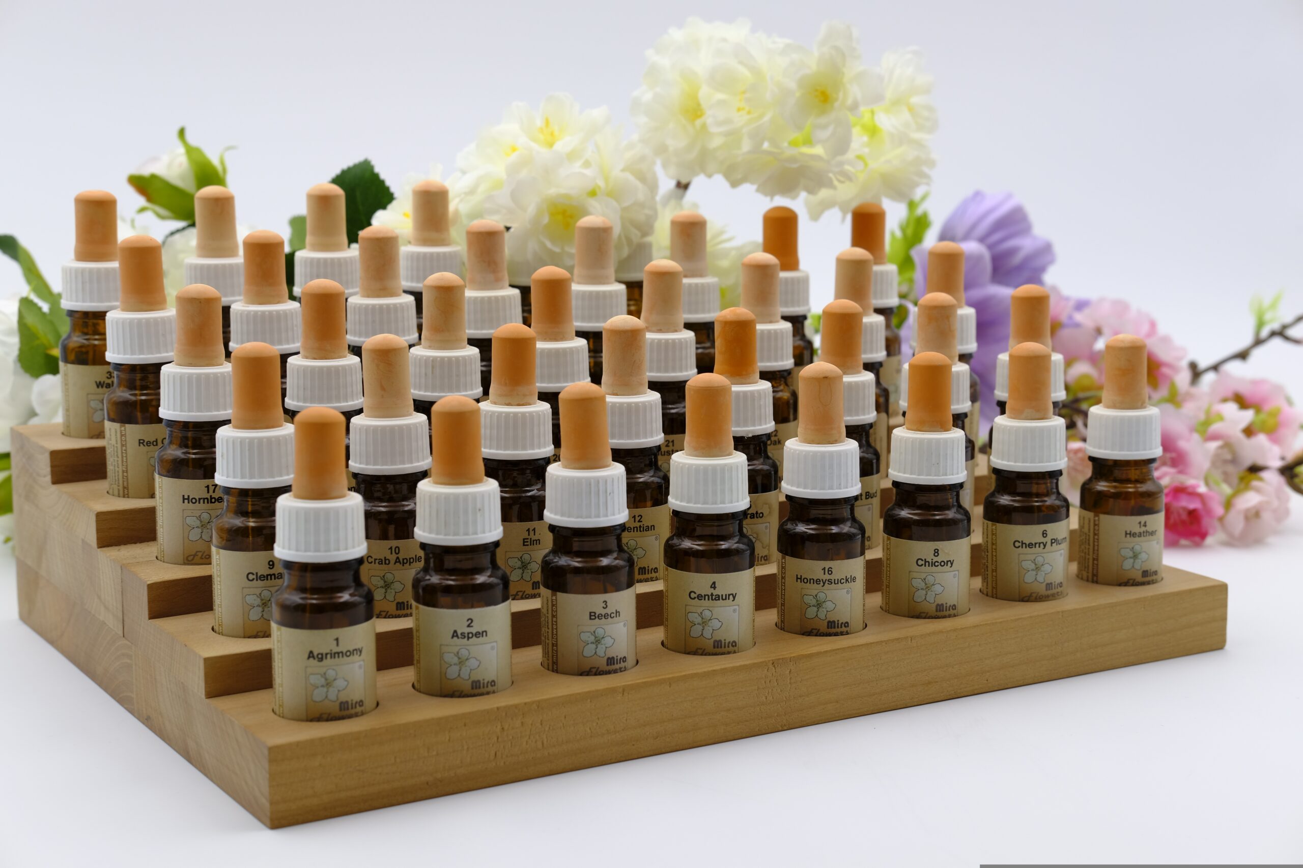 bru-no-bach-flowers-3144611